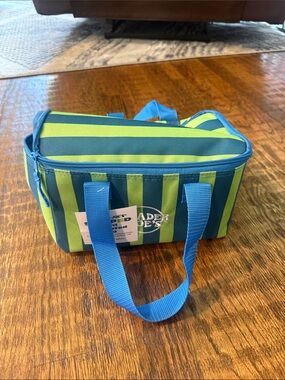 Trader Joe's Striped Cooler Bag in Blue and Lime Green